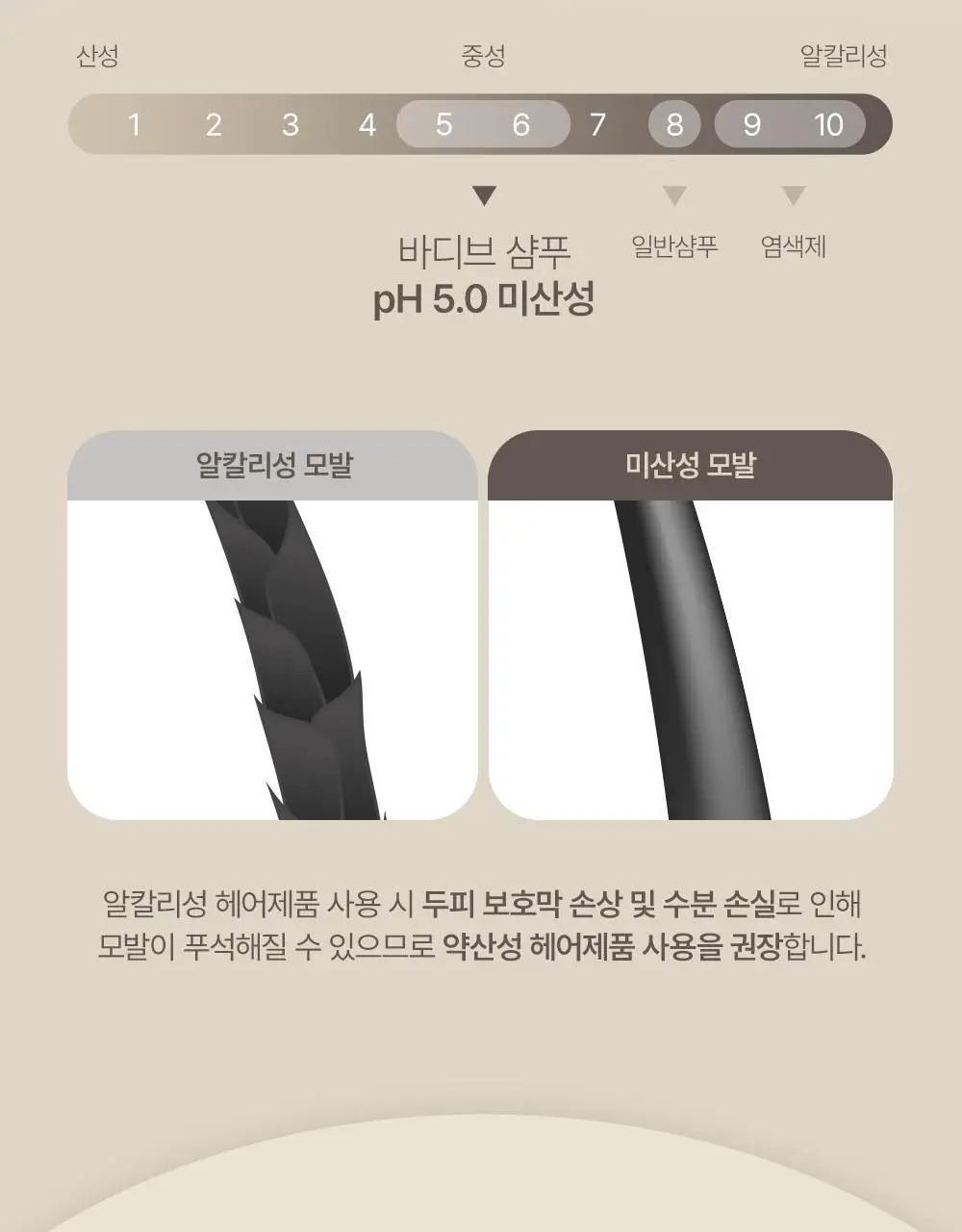 [대용량]바디브 약산성 미용실 퍼퓸 샴푸 [비듬 가려움 개선]/비건 단백질 LPP 트리트먼트 1000ml 9종 택1 상세페이지 13